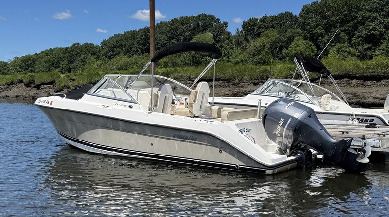 2015 Pursuit DC 235